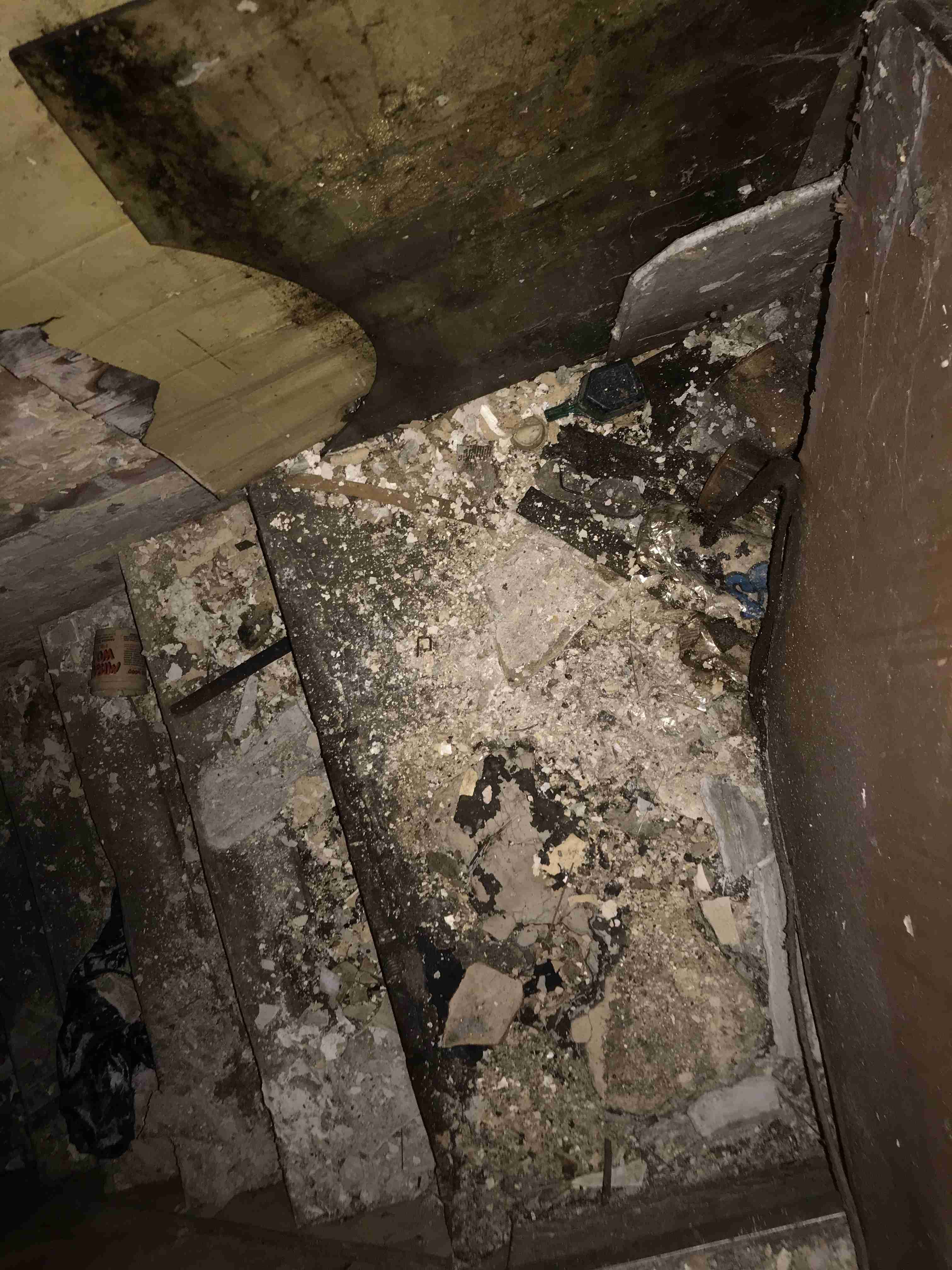 Photo Oct 13, 2 00 08 PM.jpg